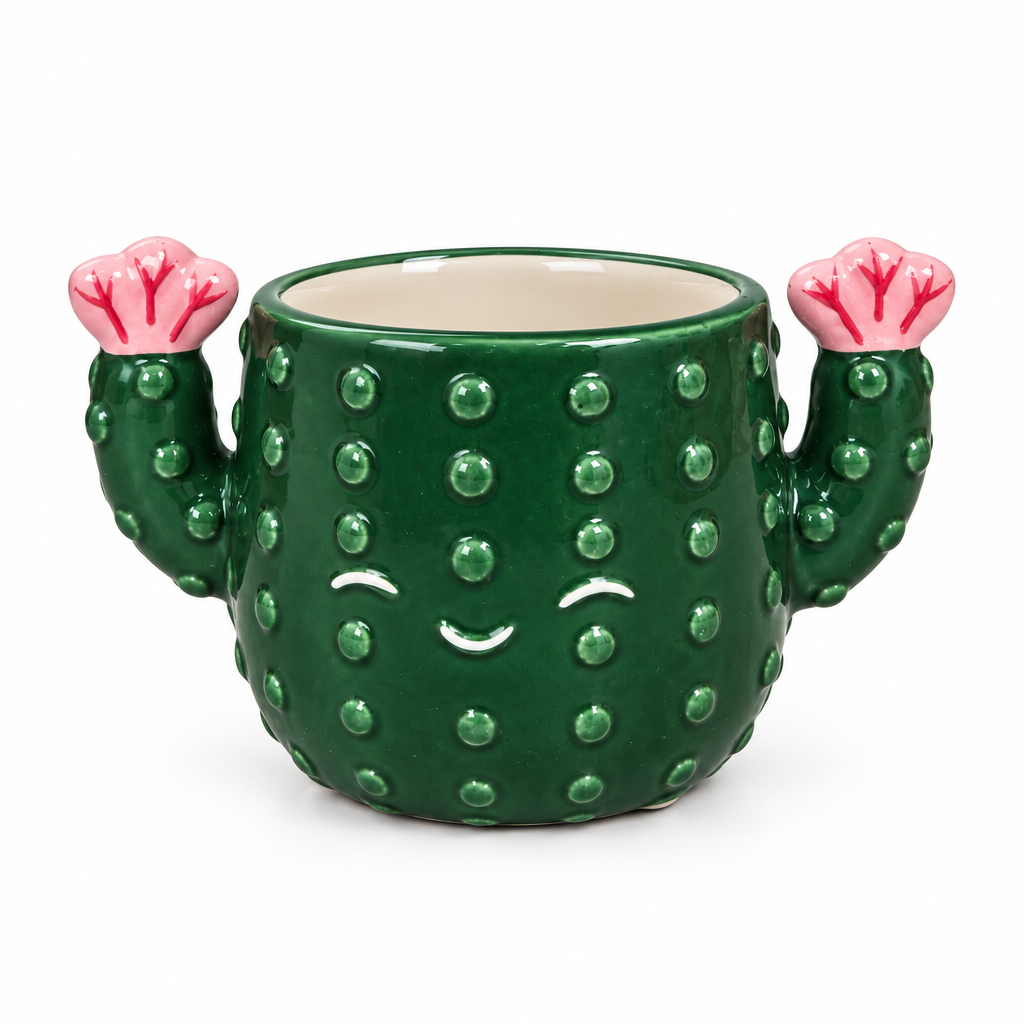 maceta de cerámica original, macetero cactus decorativo