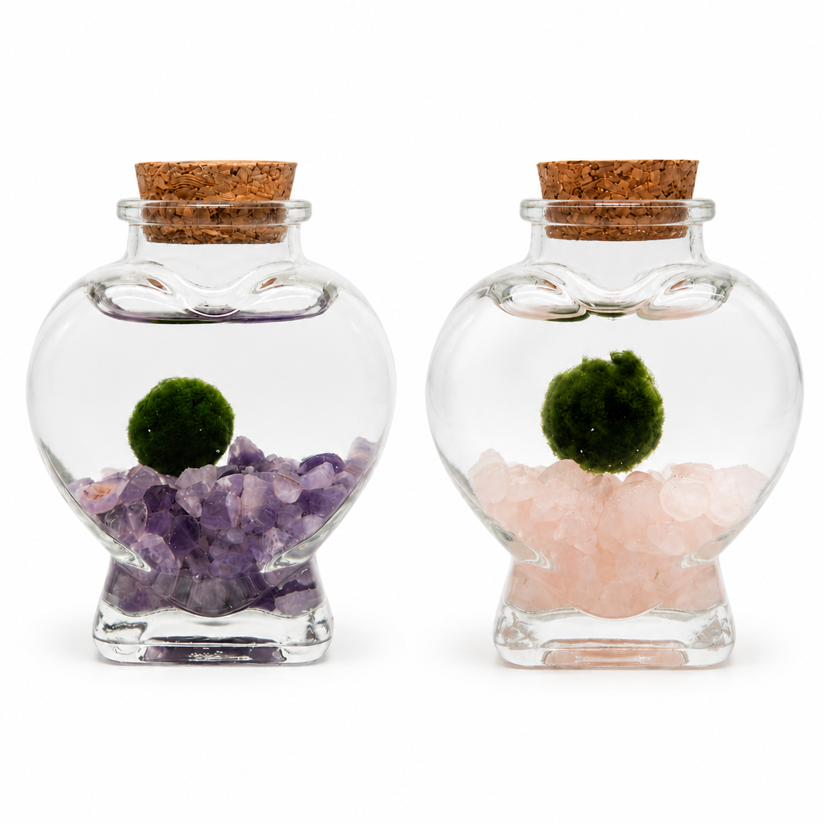 marimo love amatista