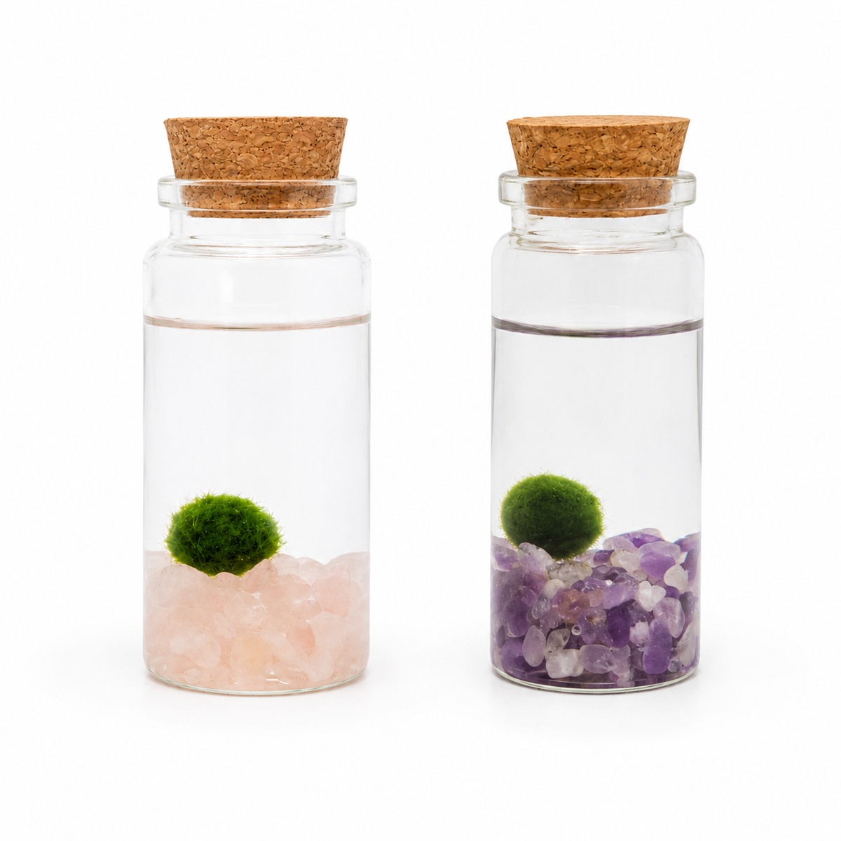 marimo spirit amatista