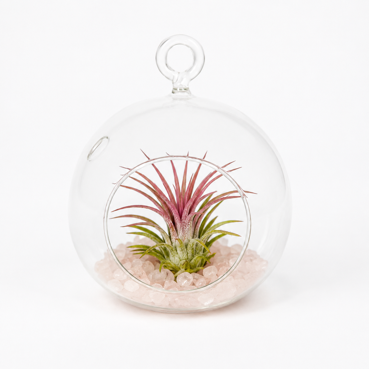 Terrario Cuarzo Rosa Para Tillandsias (planta de aire)