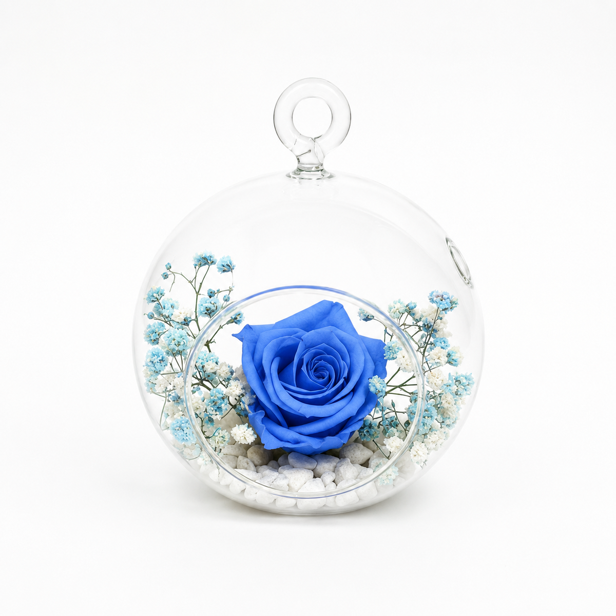flores preservadas azul