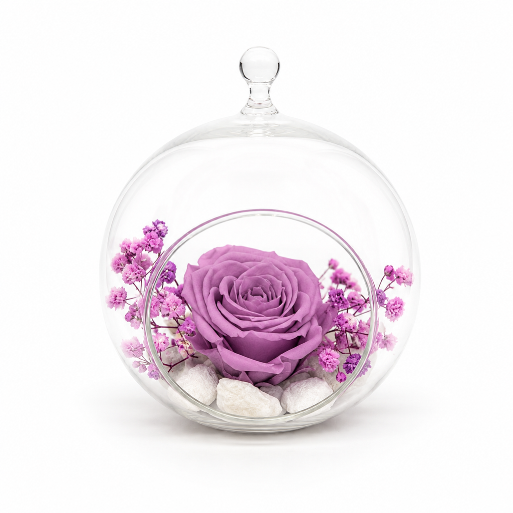 rosa eterna lavanda