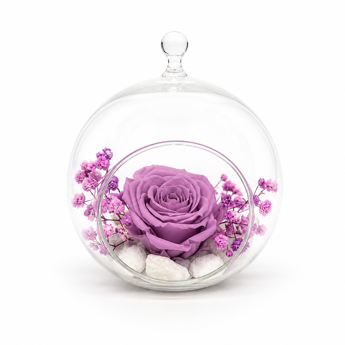 rosa eterna lavanda