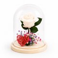 flor blanca rosa eterna