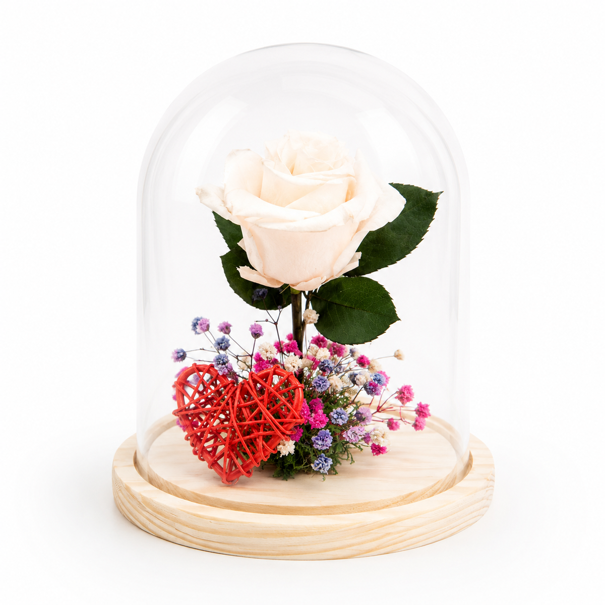 flor blanca rosa eterna