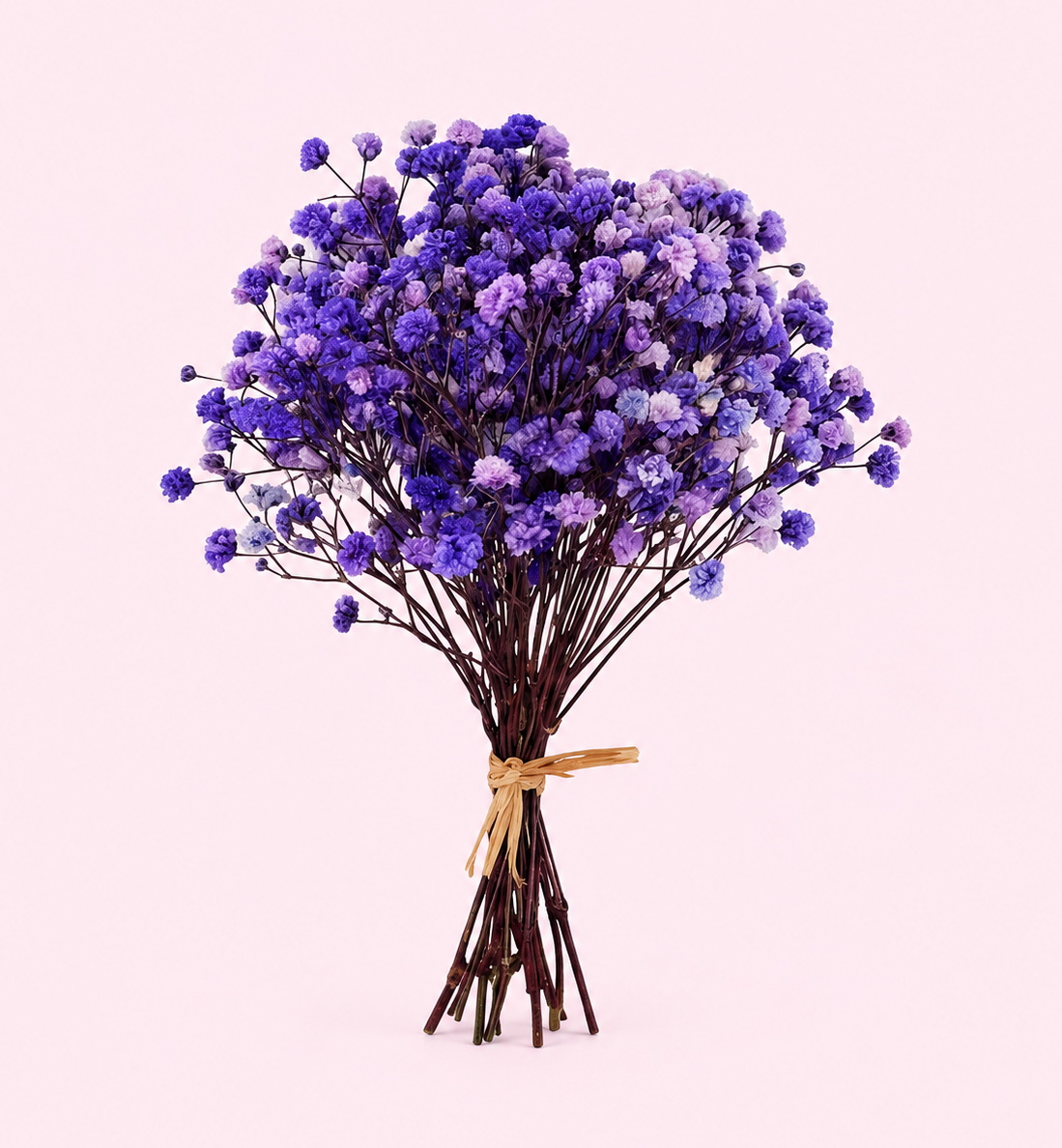 flores preservadas de colores
