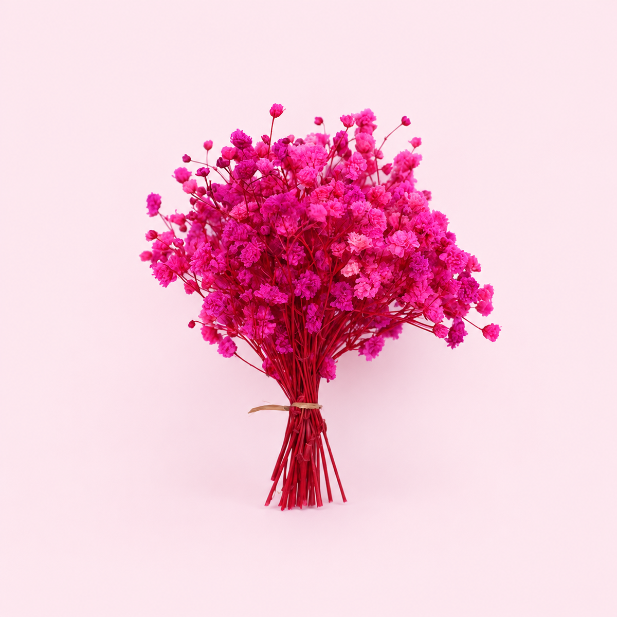 ramillete paniculata decorativo