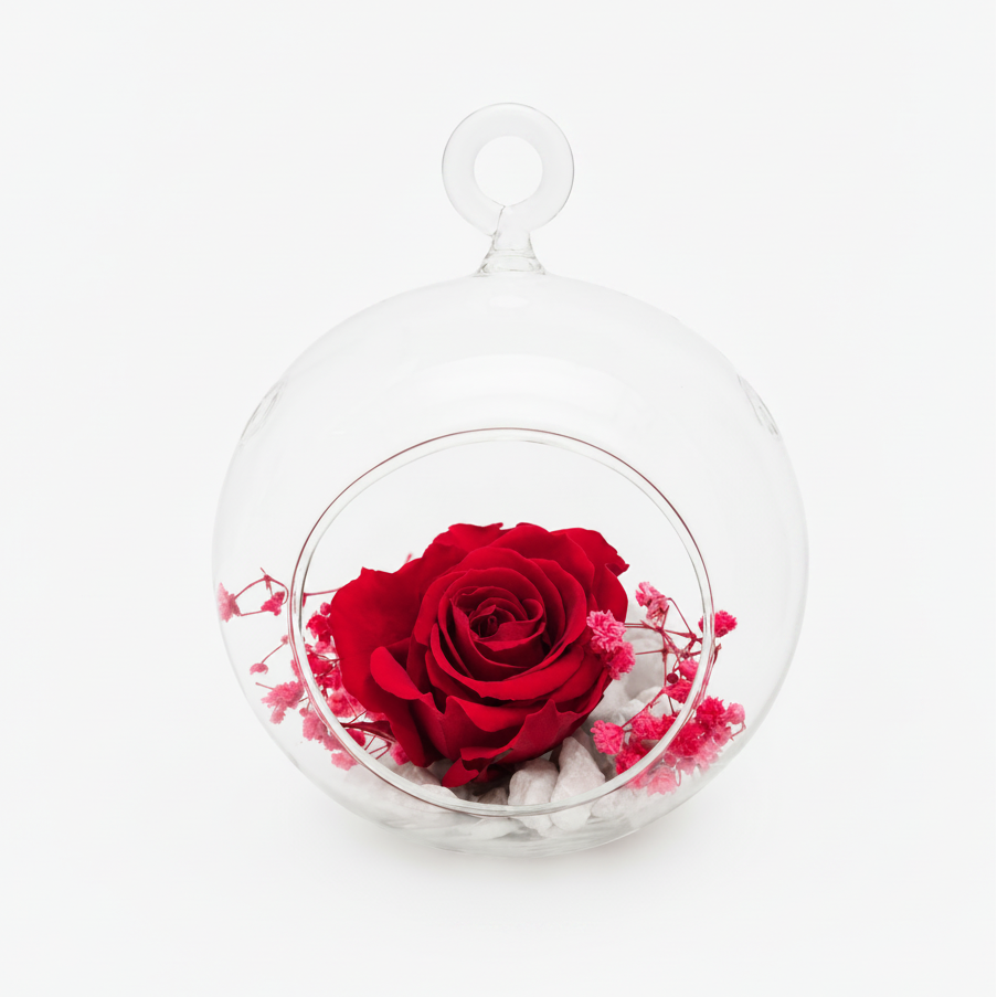 rosa eterna en cúpula de cristal