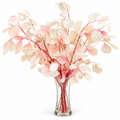 ucalipto populus blush preservado, eucalyptus populus blush, eucalipto populus preservado rosa, eucalipto preservado blush, eucalipto rosa preservado