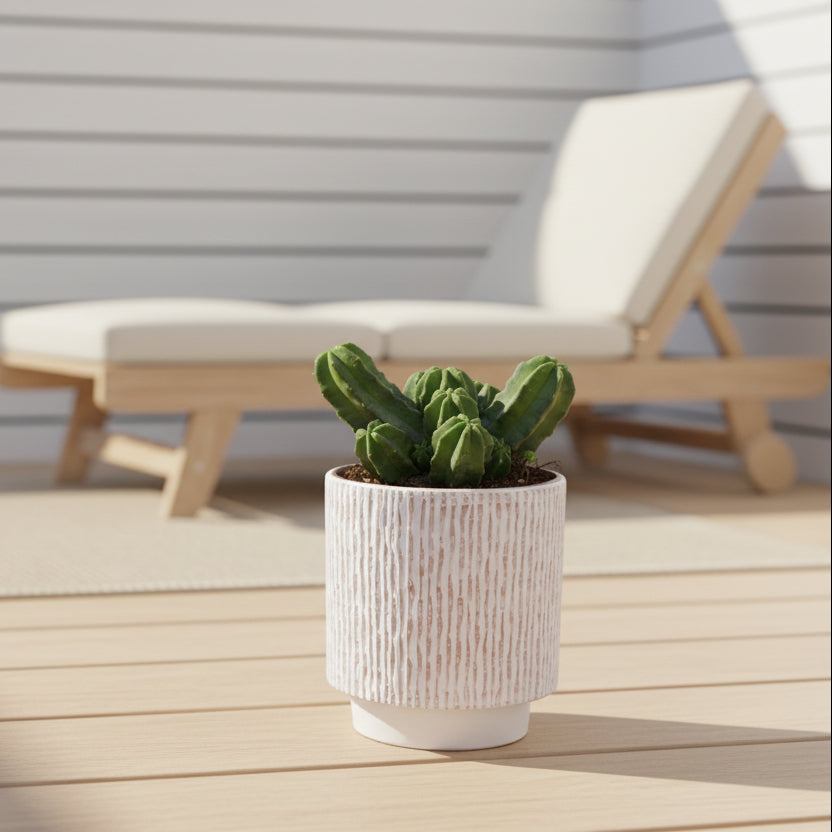 maceta-decorativa-plantas