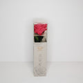 rosa-preservada-arreglo