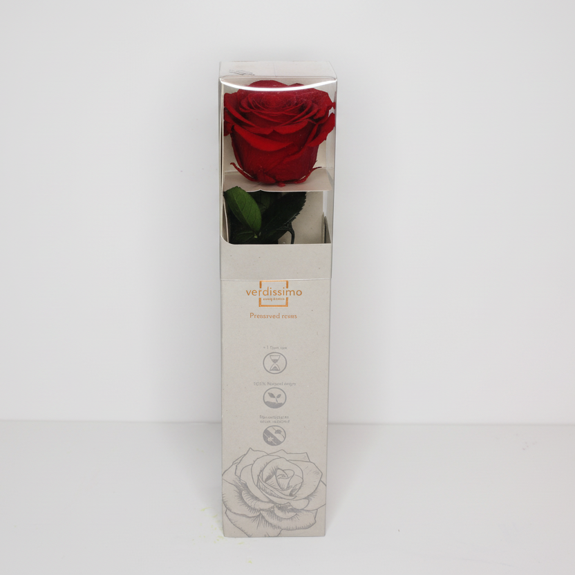 rosa-eterna-roja