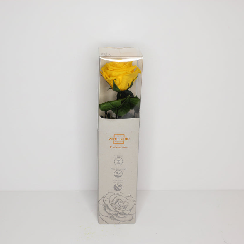 flores-decorativas-eterna