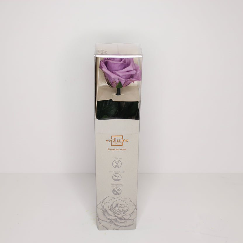 rosa-eterna-lila