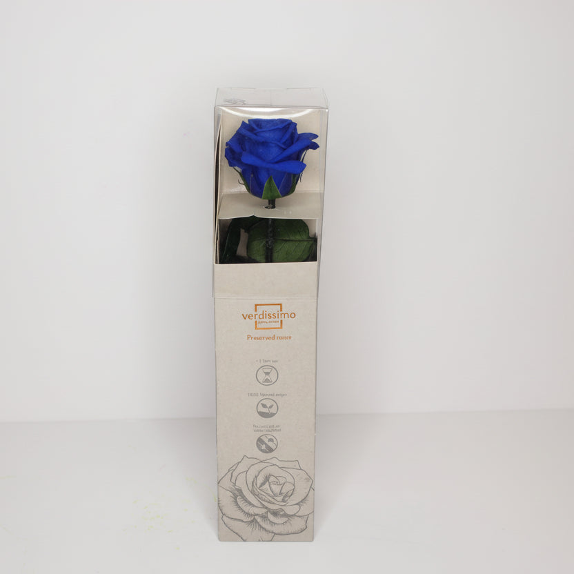 rosa-eterna-azul