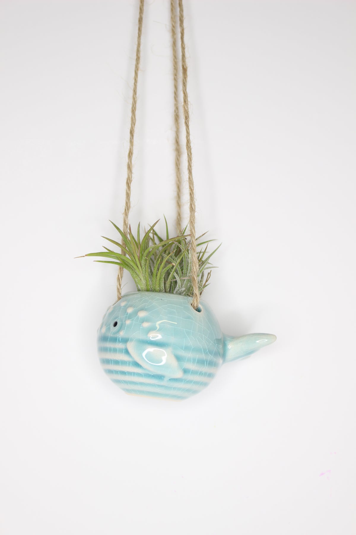 regalo-decorativo