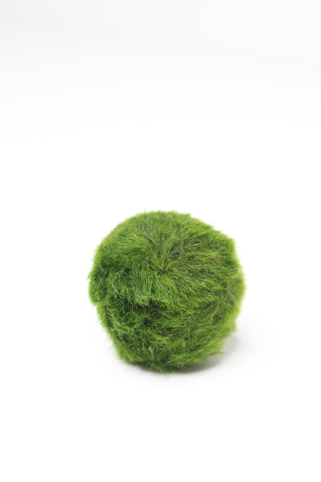 marimo-luma-vida-luz-armonia