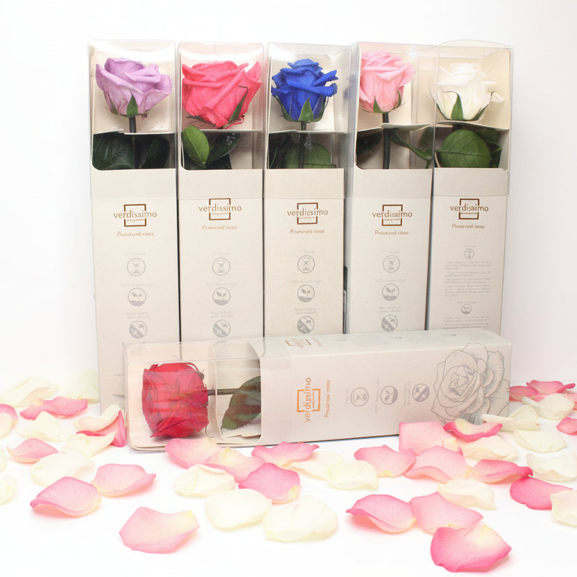 rosas-preservadas-colores