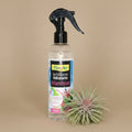 abono-foliar-tillandsias-spray