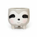 macetero-mapache-7cm