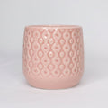 macetero-eter-rosa-5-5cm