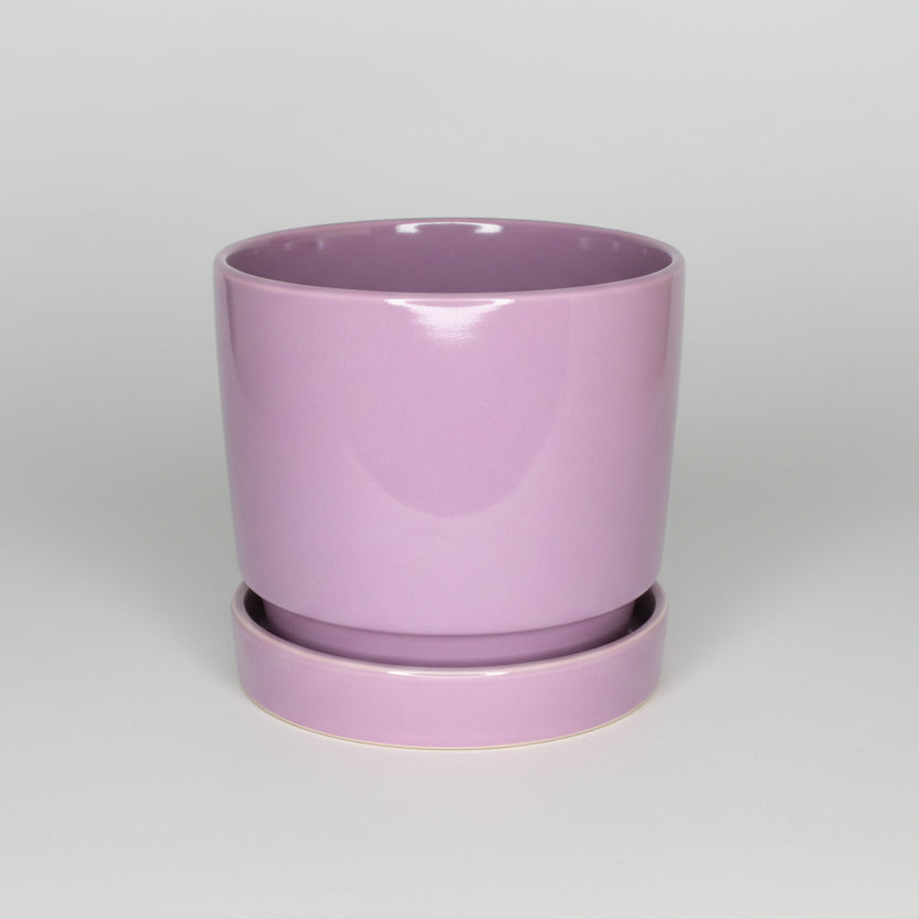 maceta-lavanda-13cm