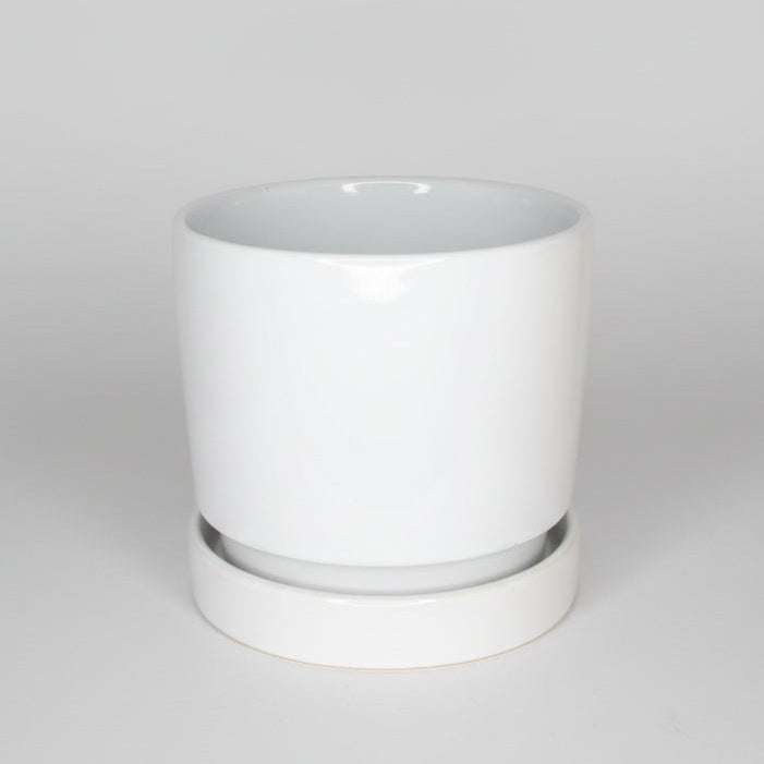 Maceta + Plato Colors - 13 cm