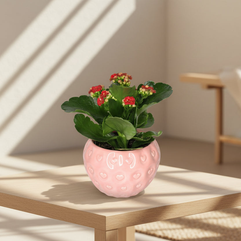 macetero-decorativo-fresa