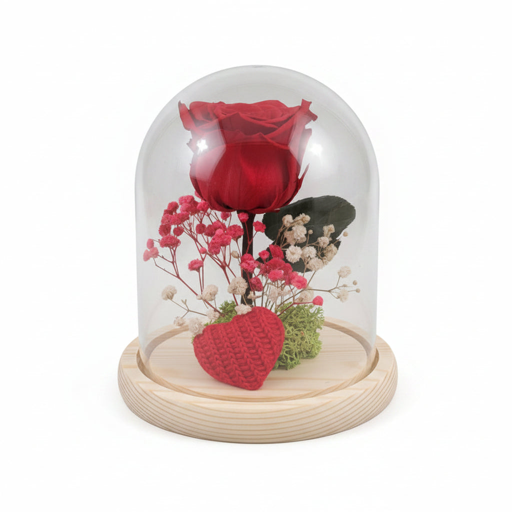 Rosa eterna roja preservada en cúpula de cristal para regalo Sant Jordi