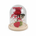 Rosa eterna roja preservada en cúpula de cristal para regalo Sant Jordi