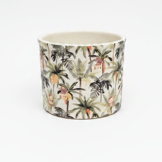 maceta tropical mono