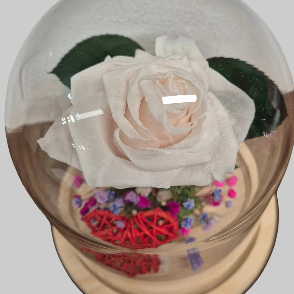 rosa-preservada-crema