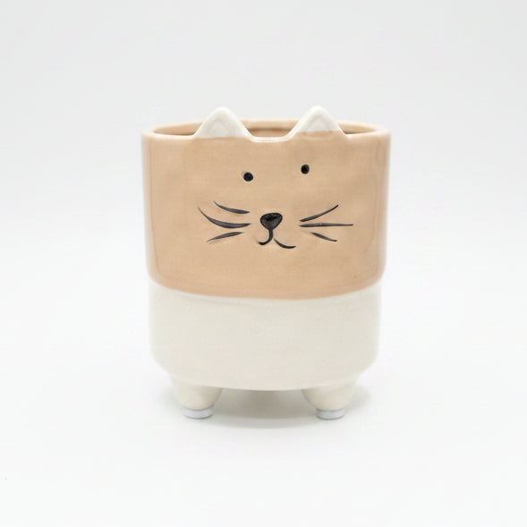 maceta perrito gatito
