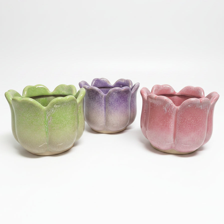 macetero tulipan colors 10,5 cm
