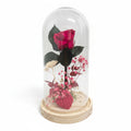 cupula-rosa-roja-preservada-l