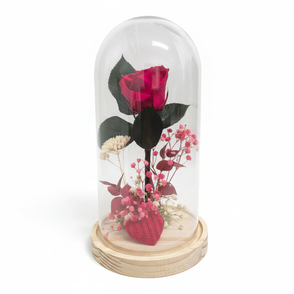 cupula-rosa-roja-preservada-l