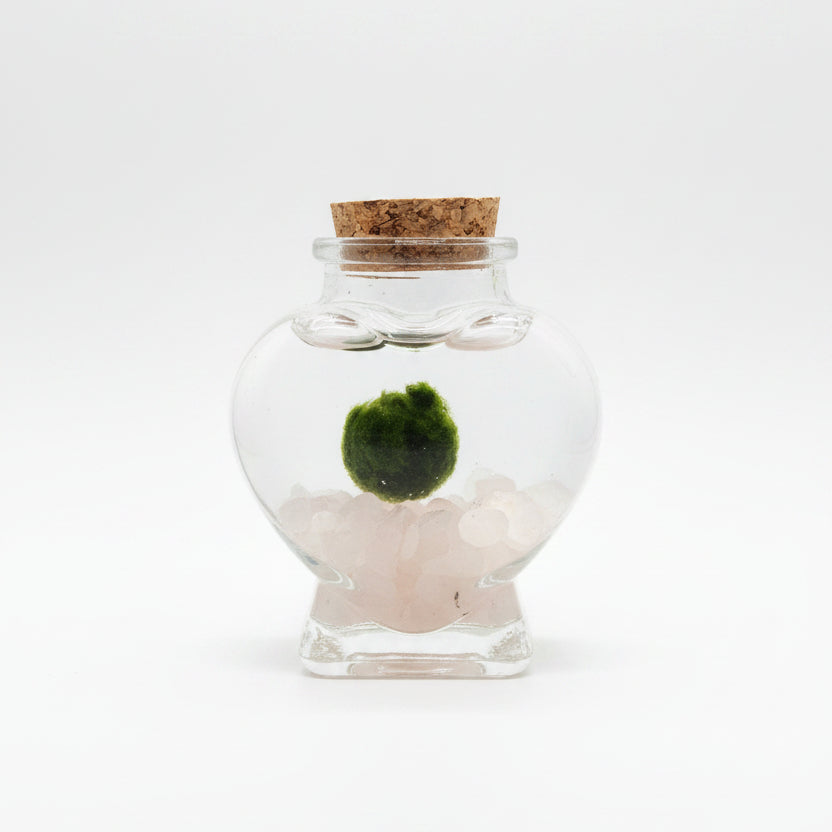 marimo love cuarzo rosa