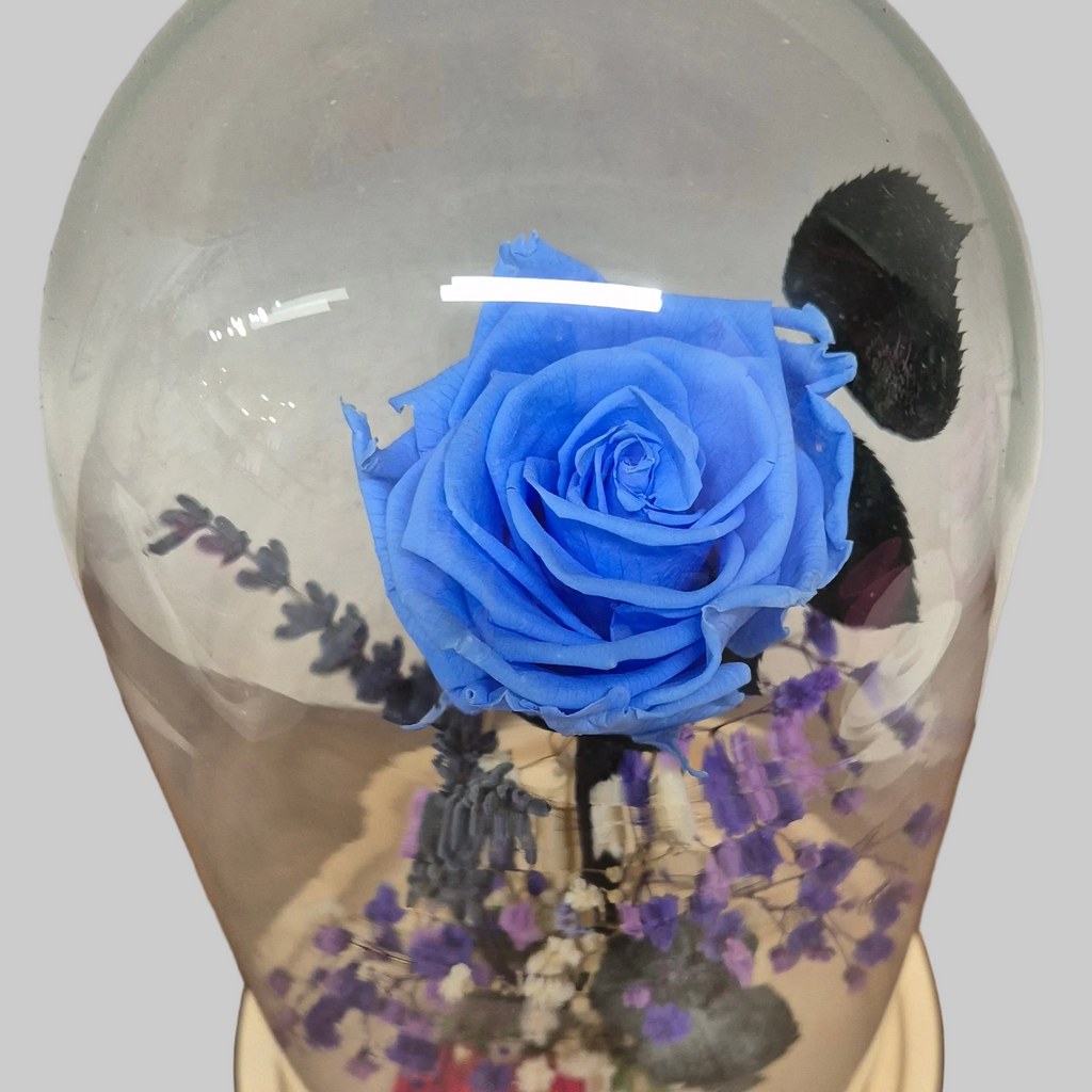 rosa-eterna-azul
