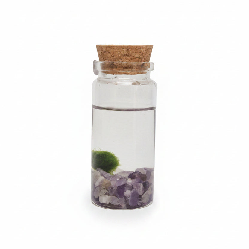 marimo spirit cuarzo rosa
